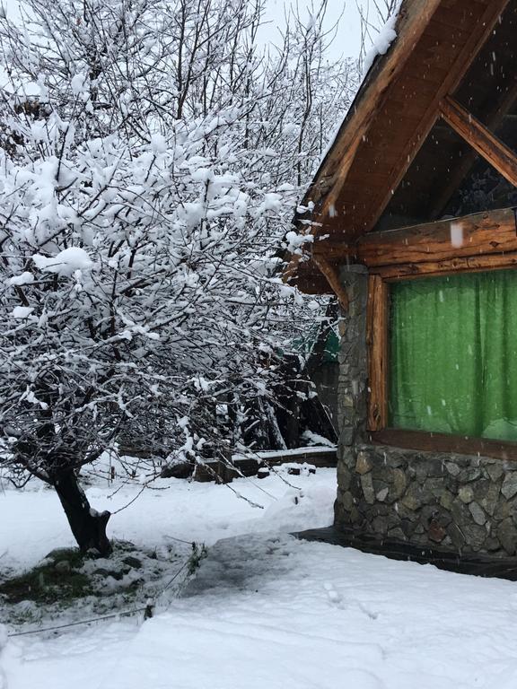Auberge de jeunesse Cabanas Pehuenia à El Bolsón Extérieur photo